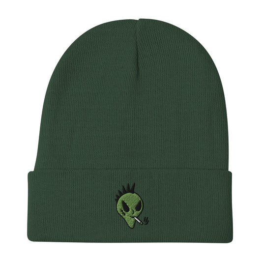 Alien Beanie Embroidered Skater Beanie for Men Alien Gift for X Files Fans Cryptid Beanie Men’s Gifts UFO Gifts for Him